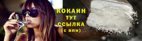 шишки Сосновый Бор
