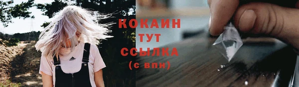 дурь Арсеньев
