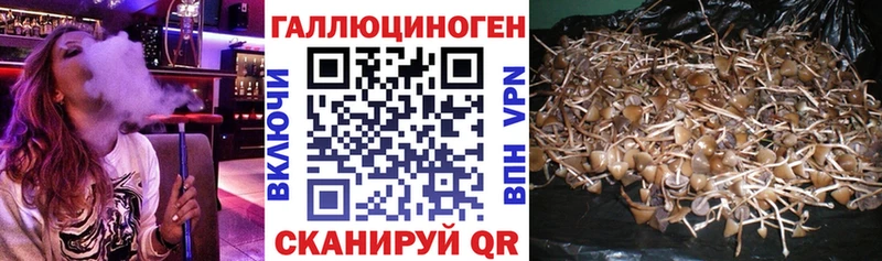 Псилоцибиновые грибы ЛСД  наркошоп  Зерноград 